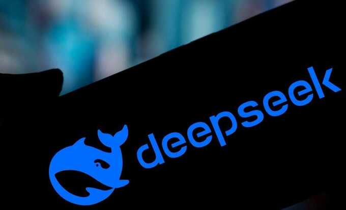  DeepSeek   ,      