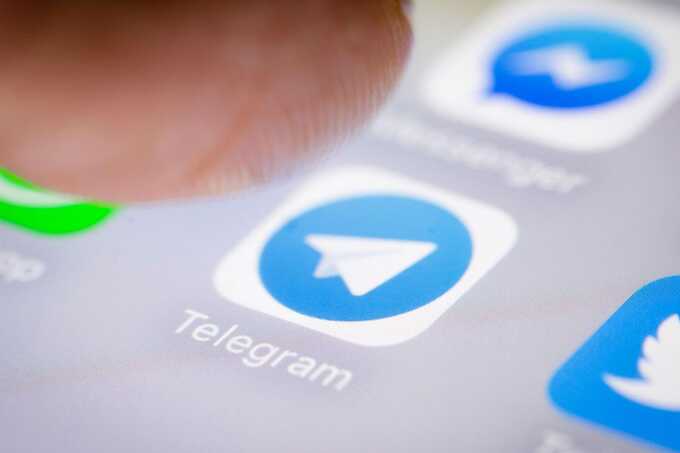 Telegram      ,     