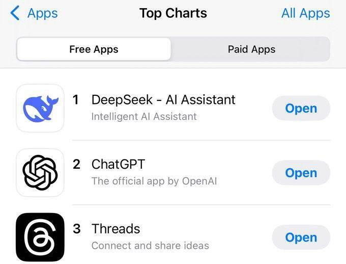    DeepSeek    